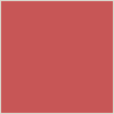 C75656 Hex Color Image (FUZZY WUZZY BROWN, RED)
